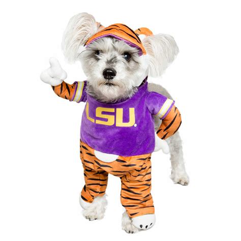Show Your Fandom with LSU Dog Clothes - Get Yours Now